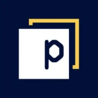 Panaseer