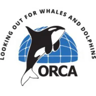 ORCA 