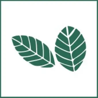 Robigo