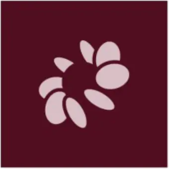 Bloom Security
