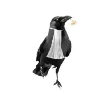 Rights of Nature Foundation