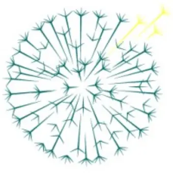 Dandelion Health Inc