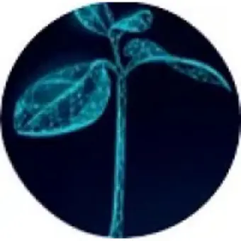 Aisprouts Vc