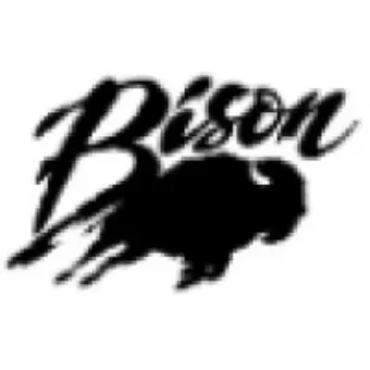Bison Inc