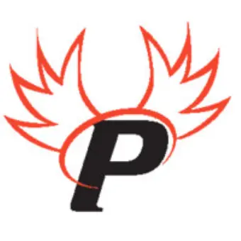 Paragon Cyber Solutions (8a, Edwosb, Vosb, CMMC-C3pao)