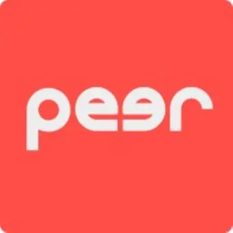 Peer AI