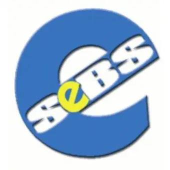 Strategic E-Business Solutions