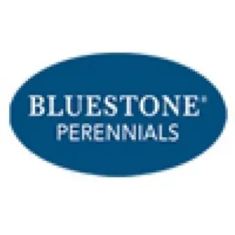 Bluestone Perennials