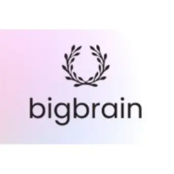 Big Brain AI