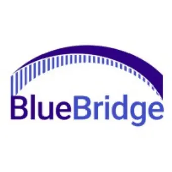 Bluebridge Networks