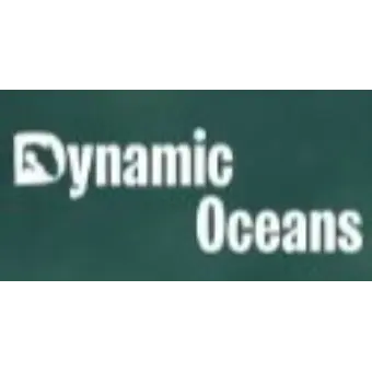 Dynamic Oceans