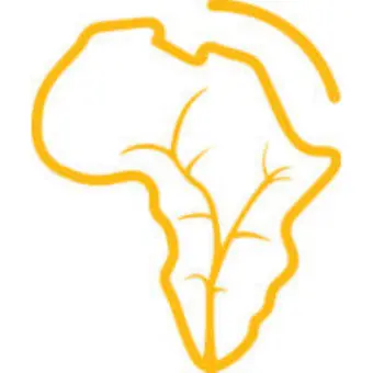 Young African Catalysts