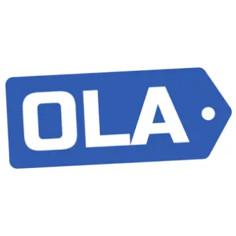 Online Liquidation Auction