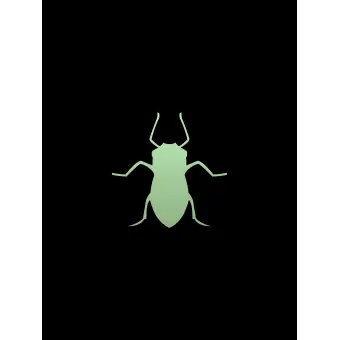 Aphid