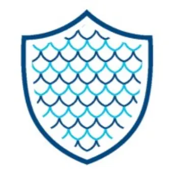 ICE Dragon Corrosion