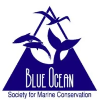 Blue Ocean Society for Marine Conservation 
