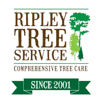 Ripley Tree Service