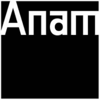 Anam.ai