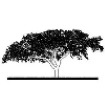 Thompson Land Engineering